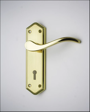 Carlisle Brass Grantham Door Handle On Backplate